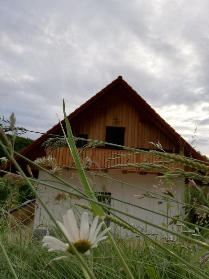 Possnitz Bioferienhaus Muster - Dominkusch מראה חיצוני תמונה